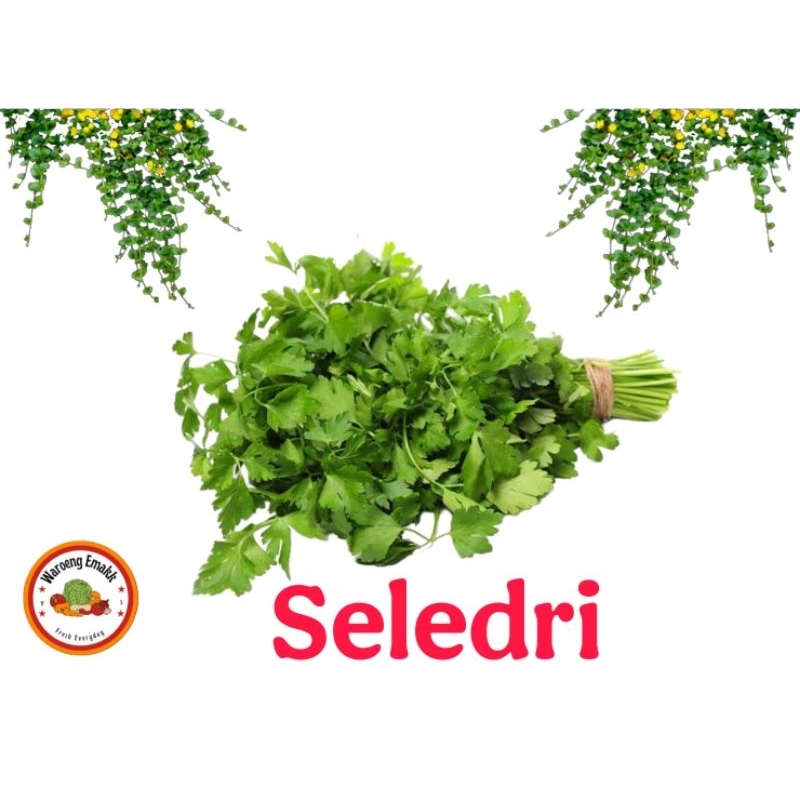 

SELEDRI