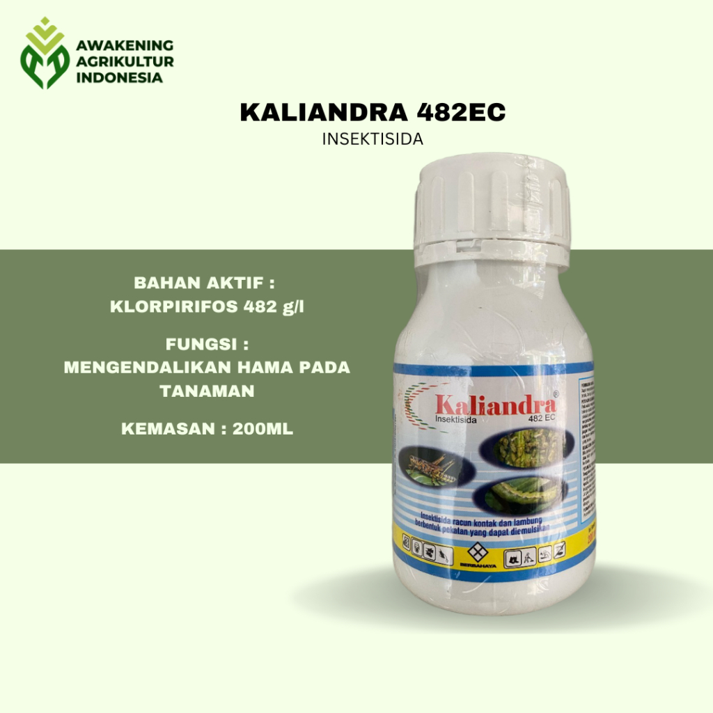 KALIANDRA 482EC 200ML INSEKTISIDA Walang sangit