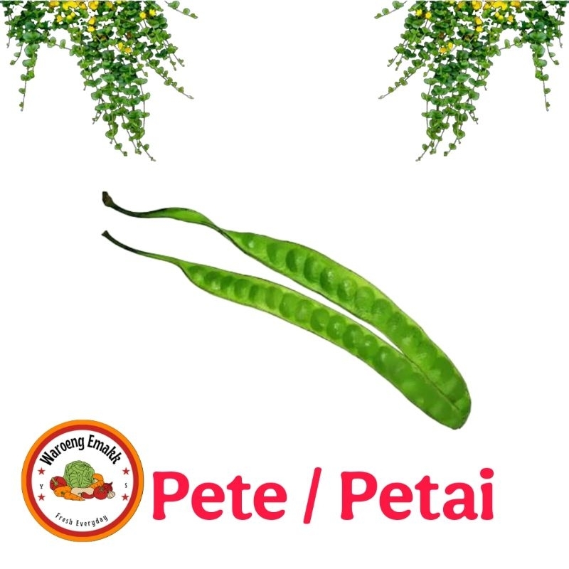 

PETE SUPER BESAR 1 PAPAN
