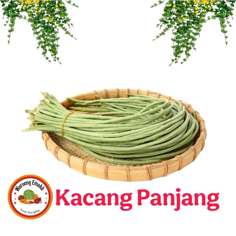 

KACANG PANJANG