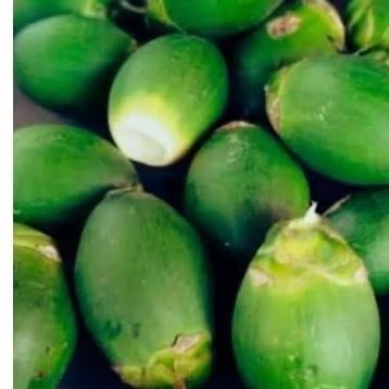 

buah pinang muda segar fresh 1000g