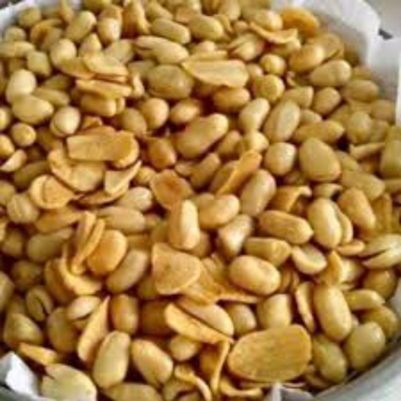 

kacang bawang 1kg 500gr