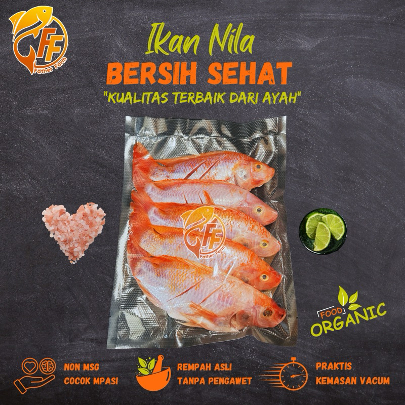 

Ikan Nila Besar Fresh Organic