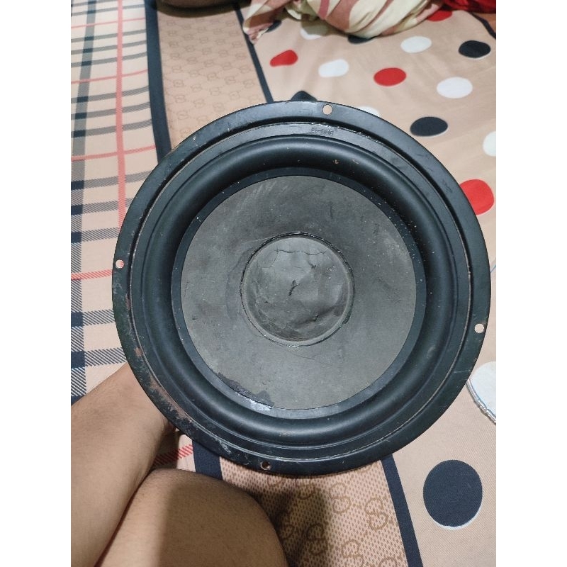 speaker Polytron copotan big band