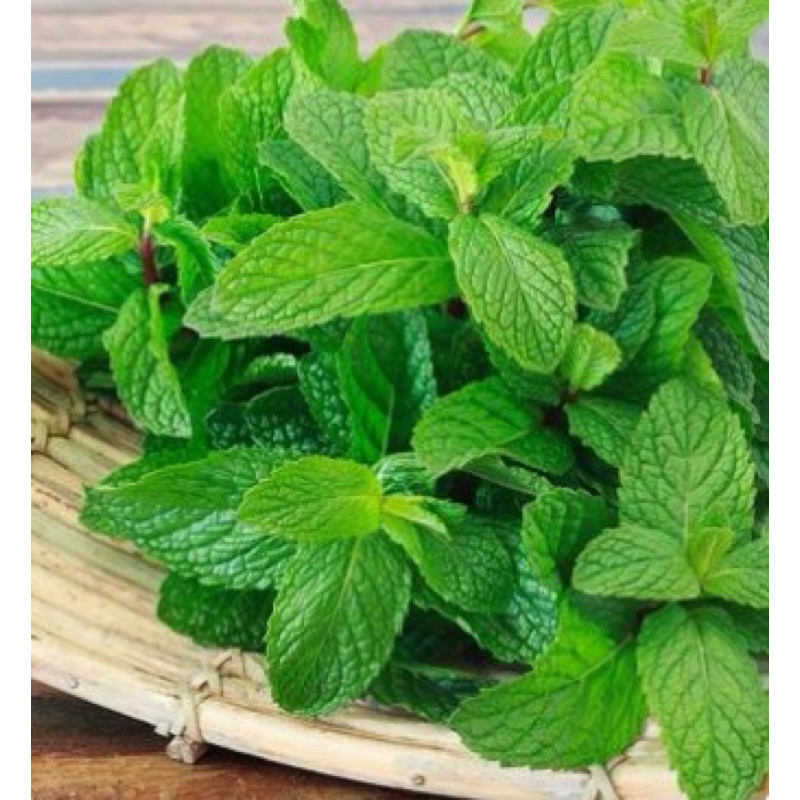

Daun Mint - 250gram