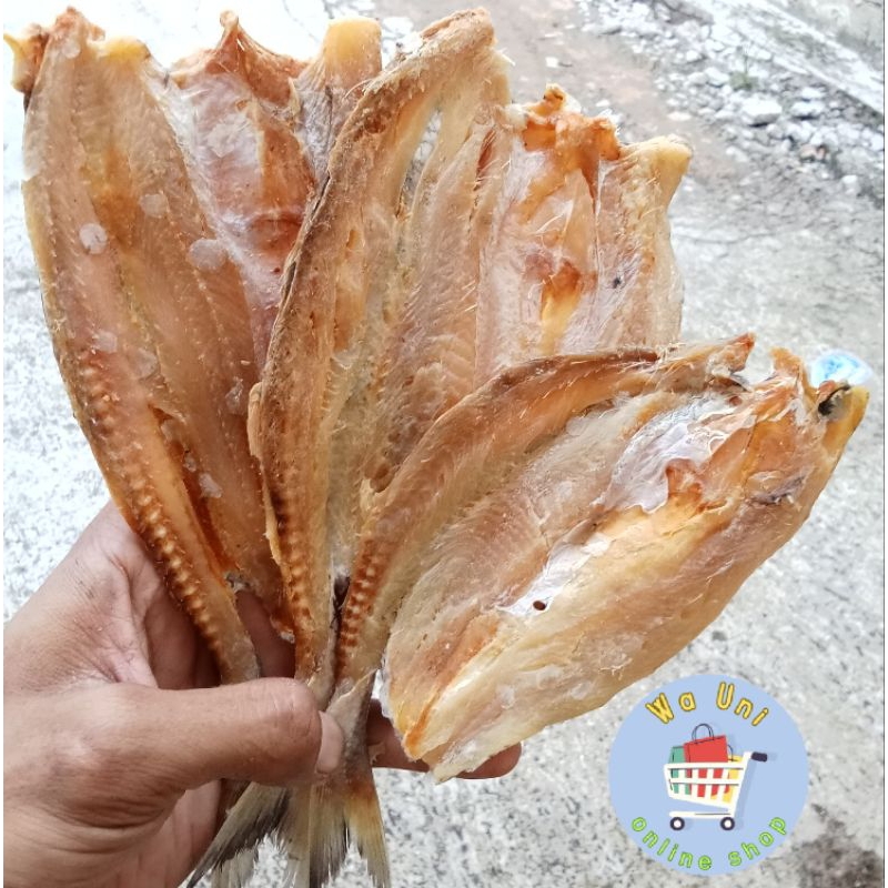 

COD ikan asin bloso 1 kg / gabus laut / ikan asin murah