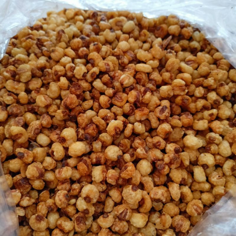 

MARNENG JAGUNG WUNGKUL JATIROGO TUBAN