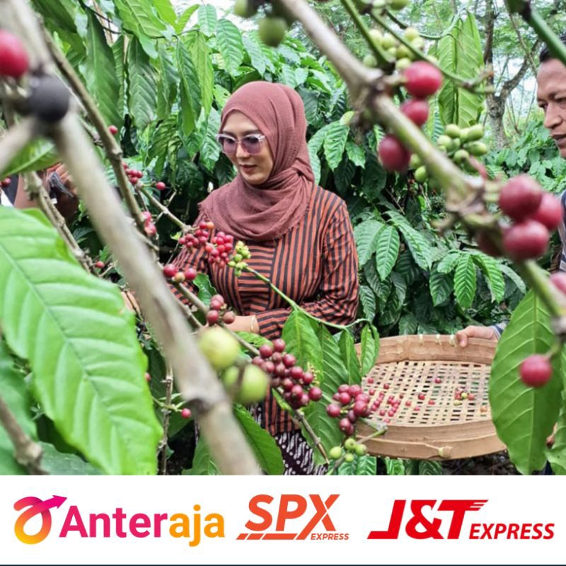 

[NEW RELEASE] PT KOPI gratis PIRT