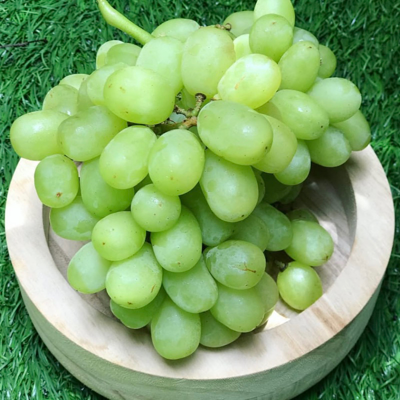 

Anggur Hijau Thompson Seedless, Manis, Fresh dan berbentuk lonjong