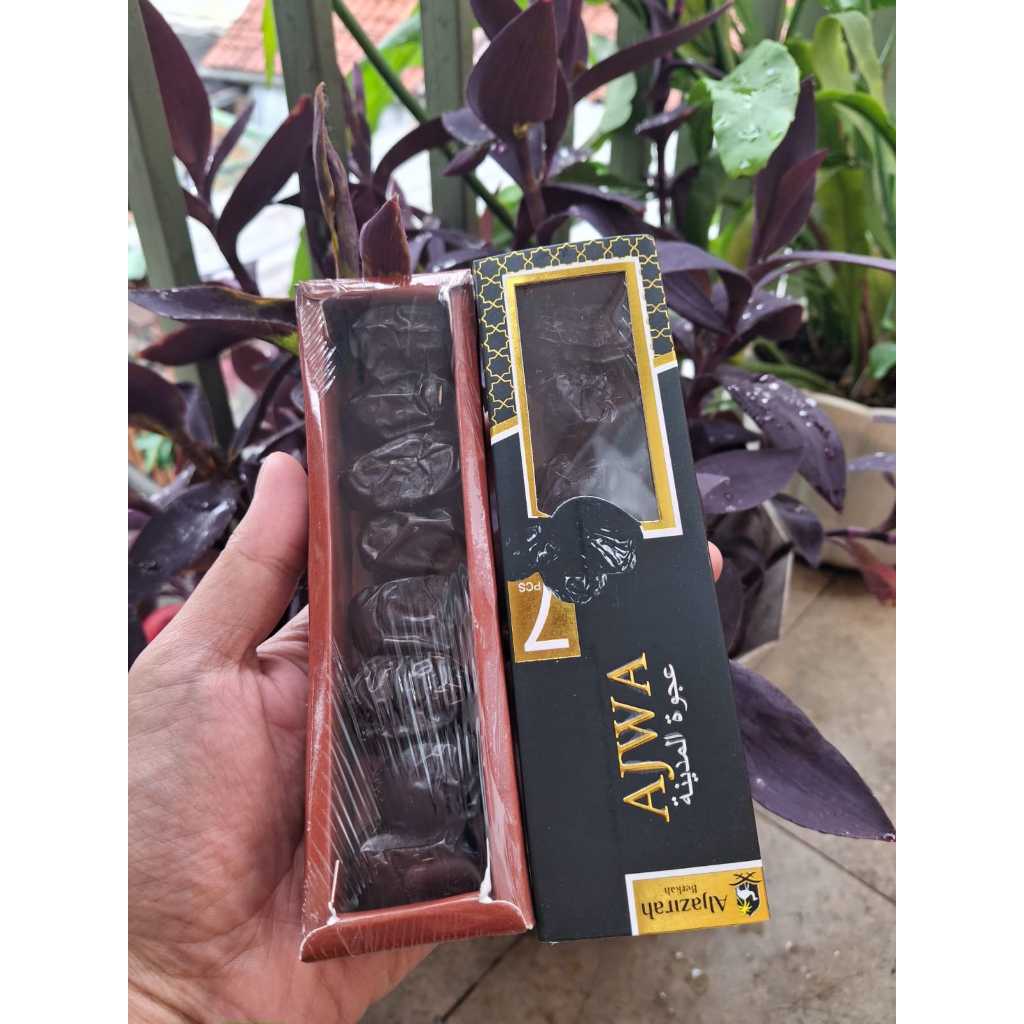 

Kurma Ajwa Kemasan 7 Butir 100% Original