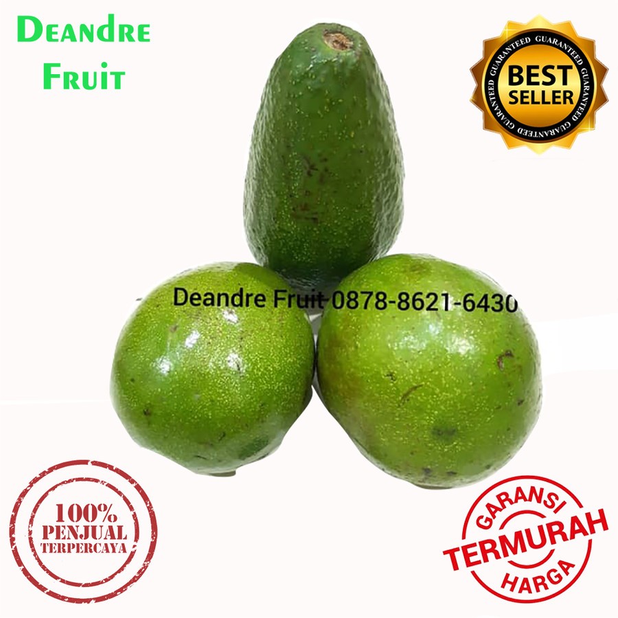 

PROMO MURAH 1kg Buah Alpukat Mentega Premium Avocado