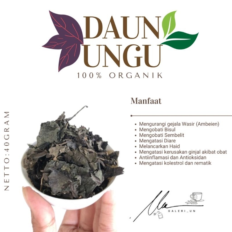 

DAUN UNGU KERING HERBAL