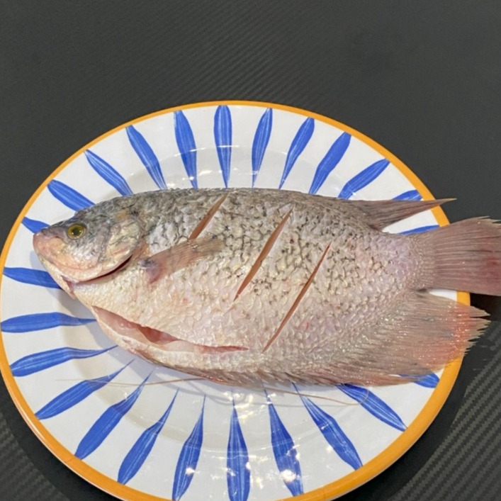 

Ikan Gurame Segar Fresh | Gourami Fish 7 ons - 8 ons