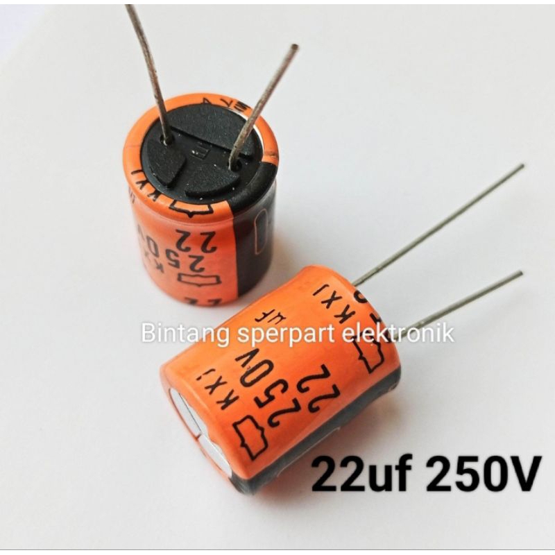(1 Buah) KAPASITOR ELCO 22UF 250V CAPACITOR ELCO 22UF 250V KAPASITOR ELCO 250V 22UF ELCO 22UF 250VOL