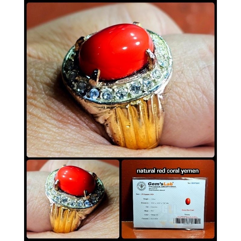 natural batu merah marjan coral asli laut merah yemen