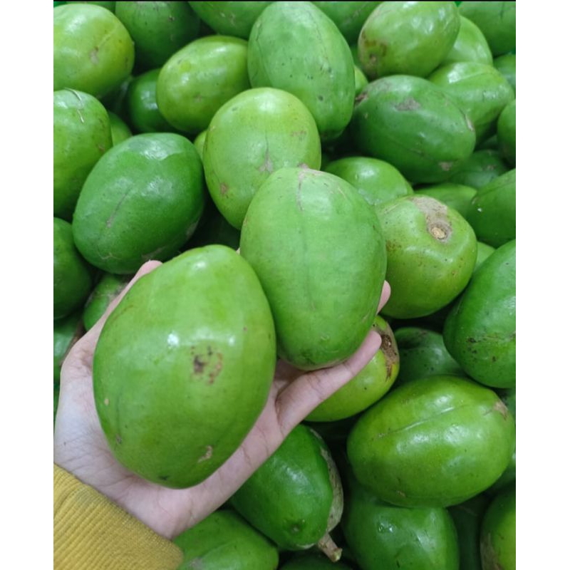

kedondong super 1kg isi bisa 10-14pcs