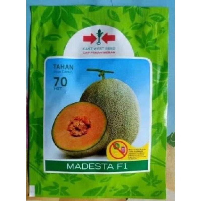 benih melon MADESTA F1