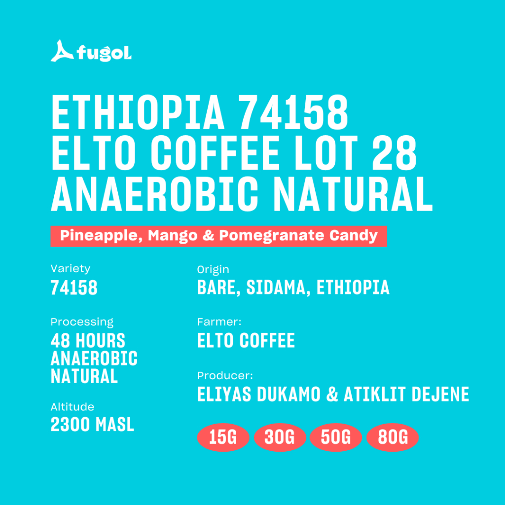 

Ethiopia 74158 Elto Coffee Lot 28 Anaerobic Natural Specialty Arabica Coffee