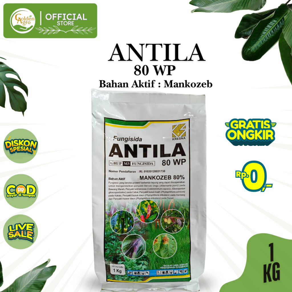 FUNGISIDA ANTILA 80WP WP 1KG KG