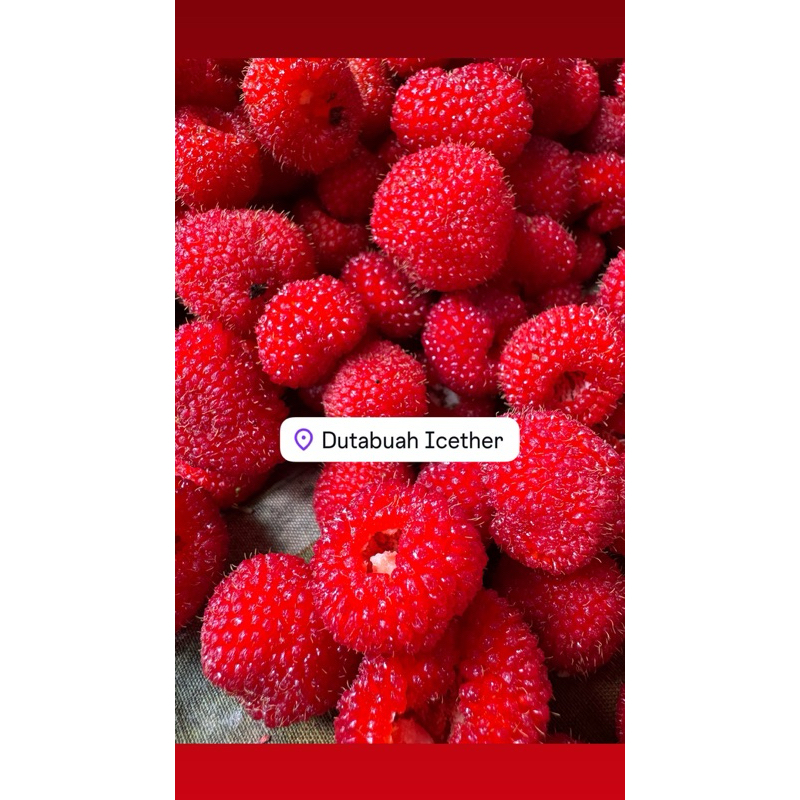 

Best Product Frozen Berry 500gr