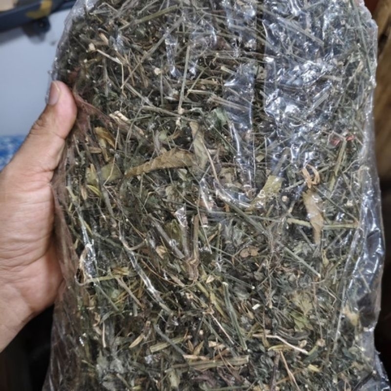 

Paitan sambiroto/sambiloto kering 100 gr