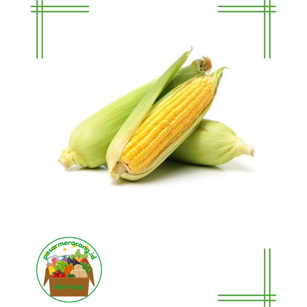 

Jagung Manis Segar/ Sweet Corn Local