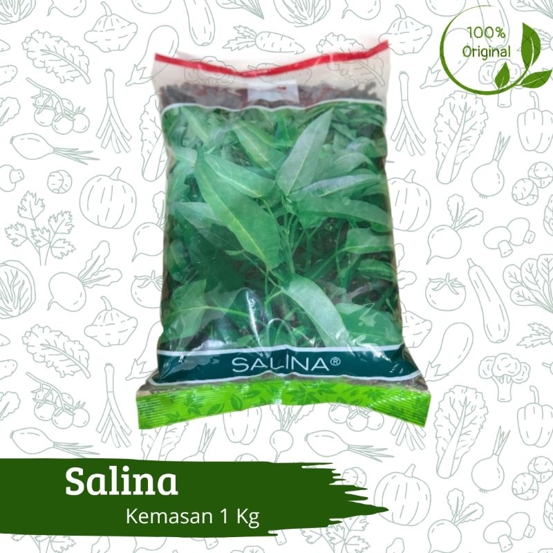 Benih Bibit Kangkung Salina - 1 Kg Cap Panah Merah