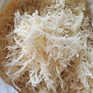 

RUMPUT LAUT 250gr
