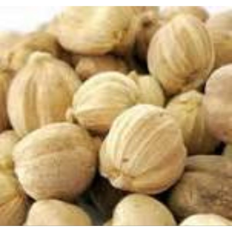 

kapulaga kering termurah 250g