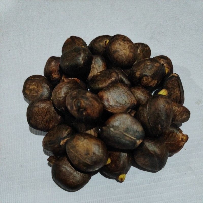 

Biji Kluwih 500 Gram
