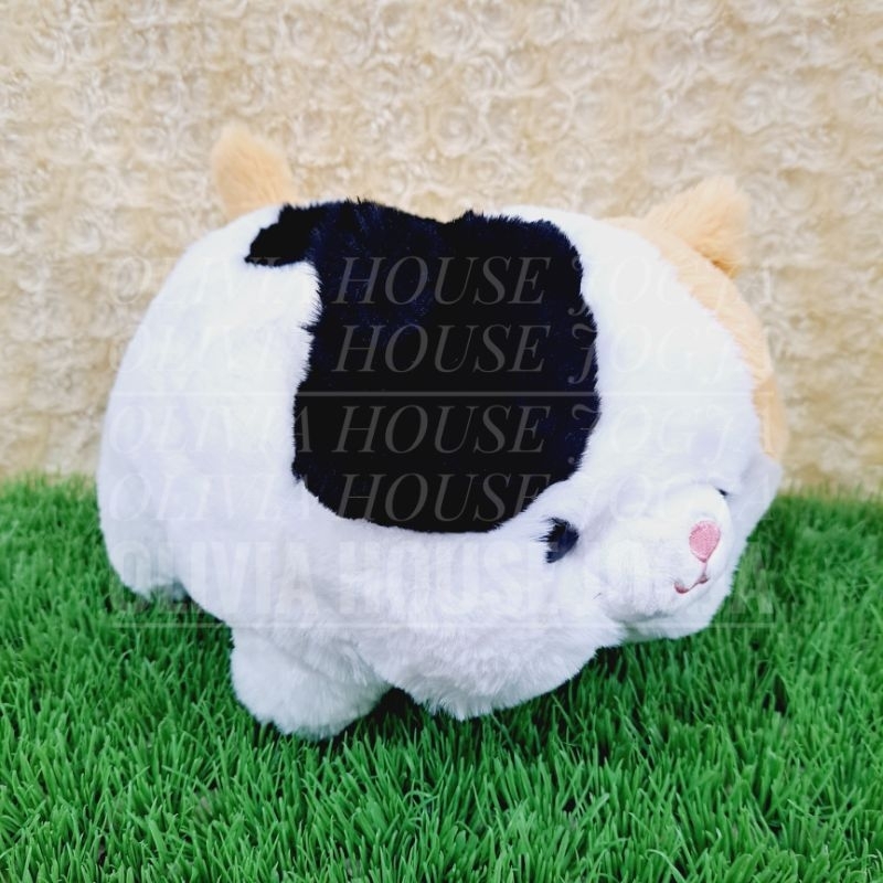 Boneka Lying Kucing Titik Hitam Ekor Coklat Boneka Gembul Cat White Boneka Tiduran Kucing Telinga Co