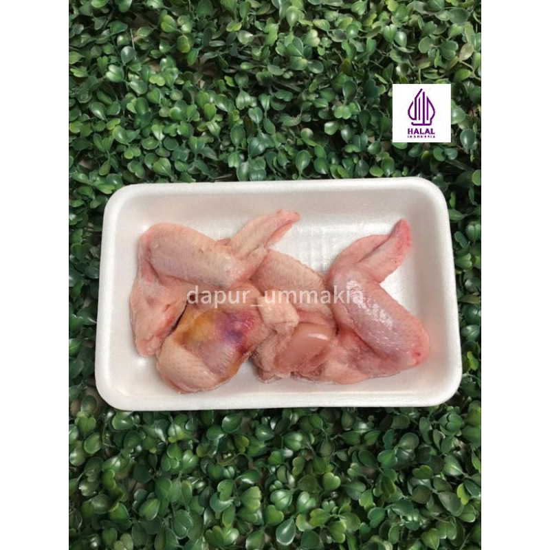 

Sayap Ayam Fresh Chicken Wing.Sayap Ayam Potong