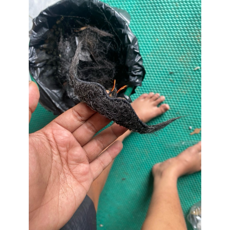 JEBRES KUMIS RUWET - JARAN KEPANG TEMANGGUNG JEBRES ORAK ARIK