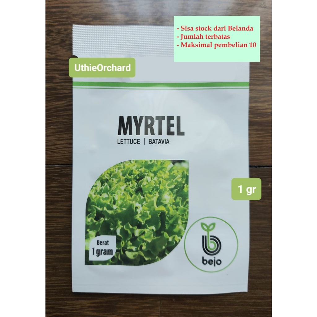 Benih Bejo Seed - Selada Batavia Myrtel Kemasan asli 1 gr
