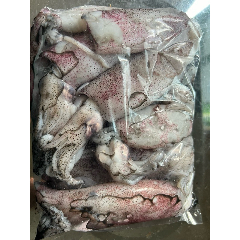 

Cumi berat -+500gr
