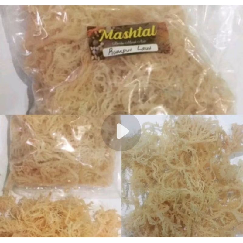 

Rumput Laut 1 kg