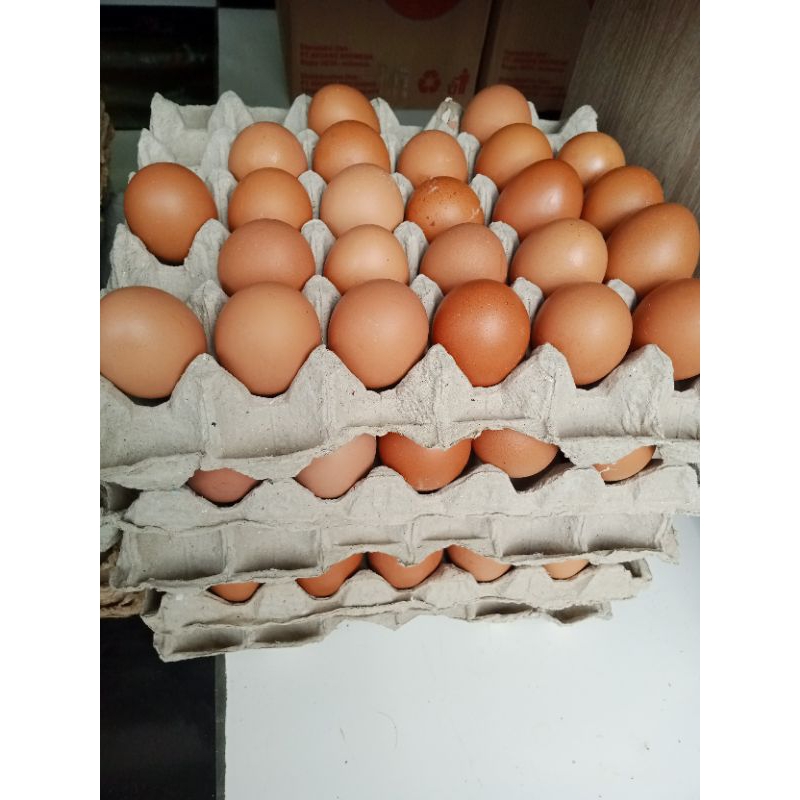 

Telur ayam negeri 1kg