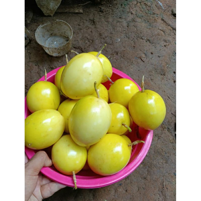 

buah markisa matang asam manis per 1kg