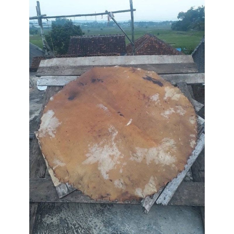 BEDUK / BEDUG / KULIT BEDUG SAPI TERMURAH UKURAN DIAMETER 150