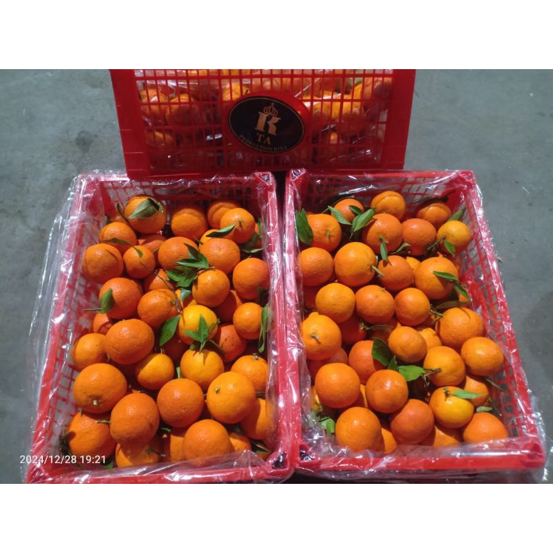 

jeruk santang madu per kilo