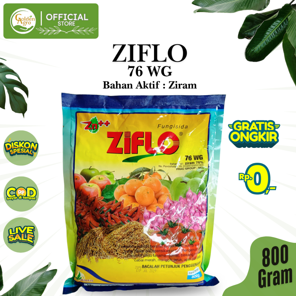 FUNGISIDA ZIFLO 76WG WG 800GR GR GRAM