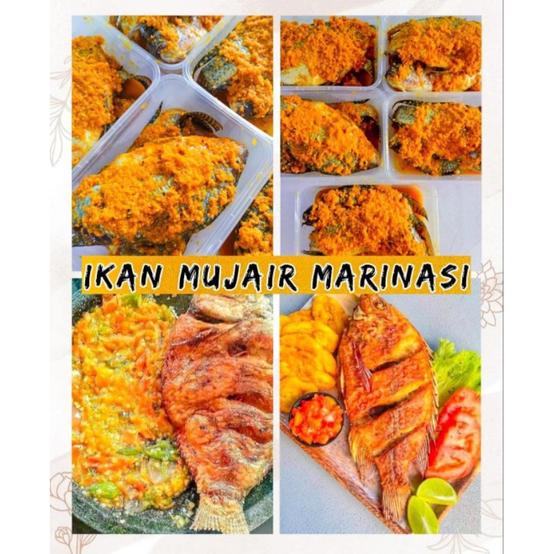 

Mujaer Mujair Marinasi siap goreng isi 2