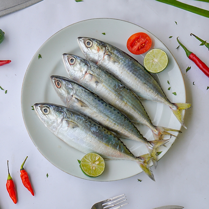 

Ikan Kembung Frozen 1 Kg