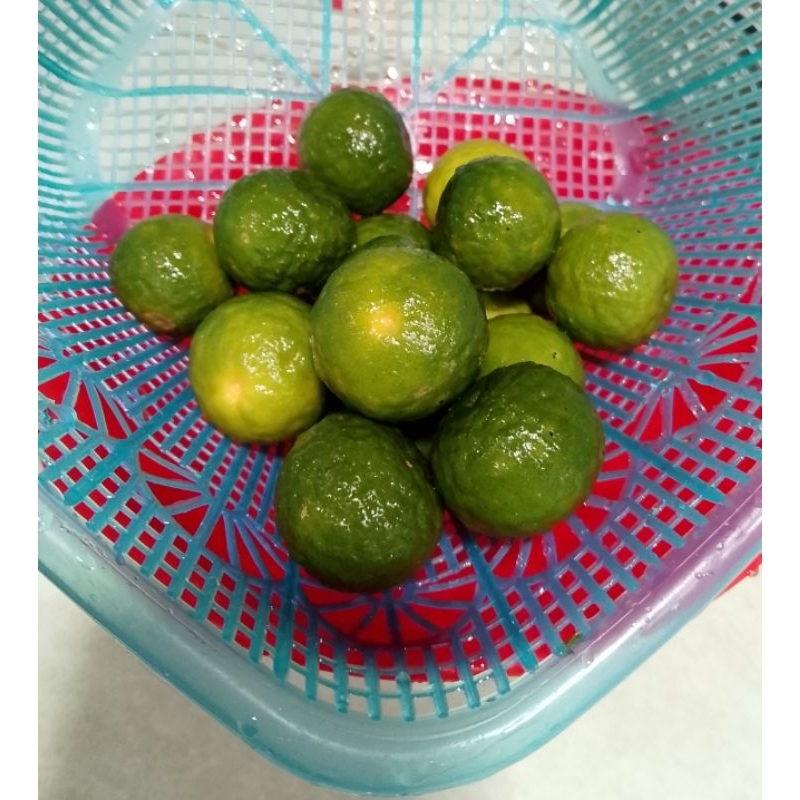 

Jeruk sambel limau segar aroma harum