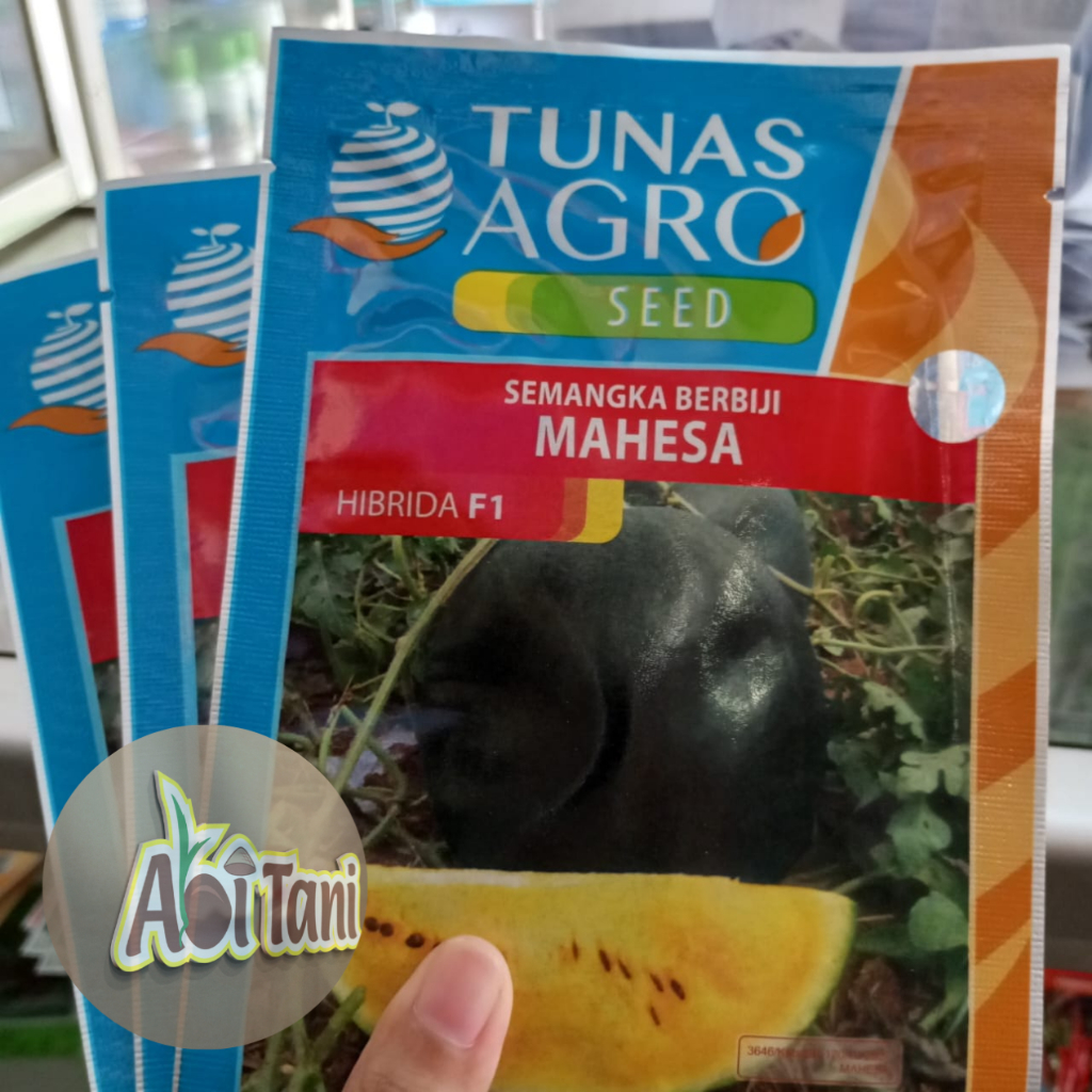 Benih Bibit Semangka Berbiji Mahesa (Hibrida F1) Tunas Agro