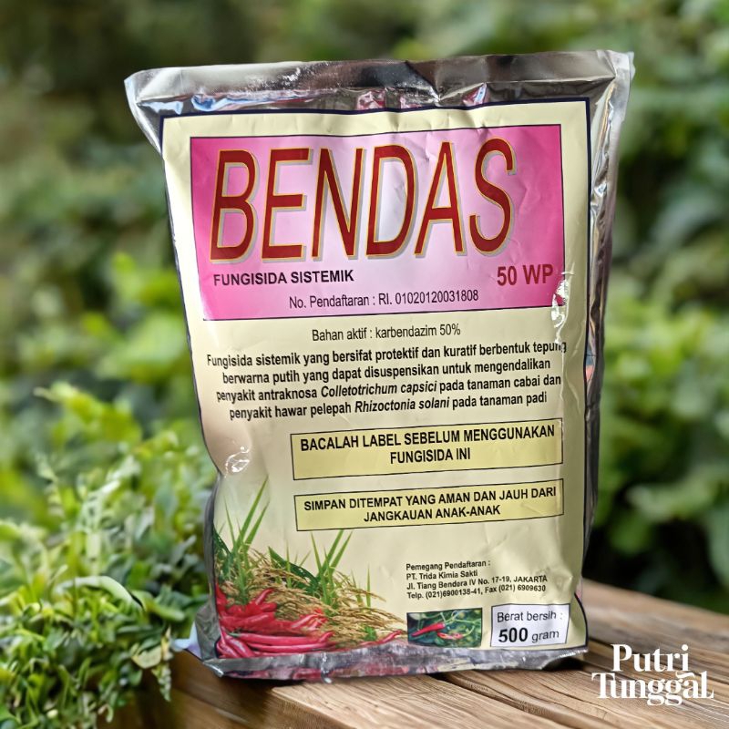 Bendas 50WP fungisida sistemik