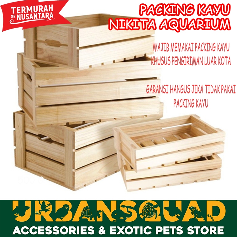 

Packing Kayu Nikita Aquarium Wajib Packing Kayu Luar Kota