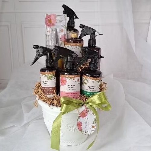 chubby plant paket bertanam isi nutrisi tanaman hias mawar david austin hamper lebaran gift kado bua