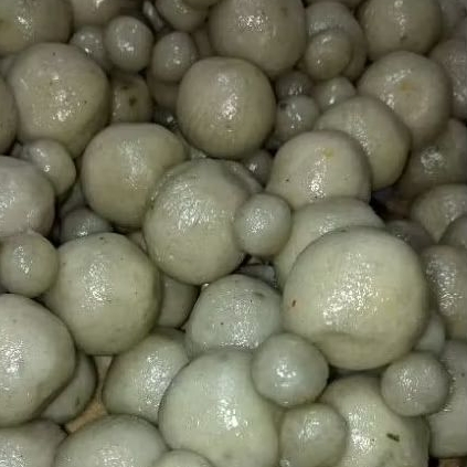 

ACI ATAU CILOK KANJI KILOAN