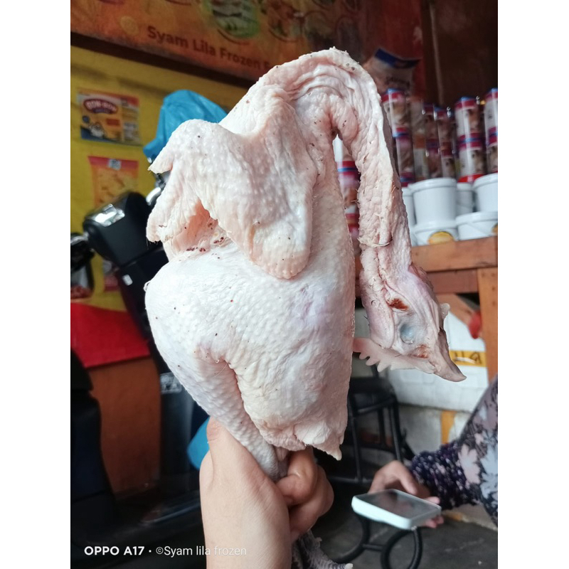 

ayam kampung frozen